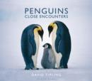 Penguins : Close Encounters - eBook