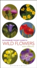 Pocket Guide To Wild Flowers - eBook
