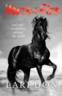 Horse of Fire : and other stories from around the world - Book