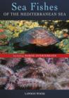 Sea Fishes Of The Mediterranean Including Marine Invertebrates - eBook
