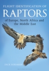 Flight Identification of Raptors of Europe, North Africa and the Middle East - eBook
