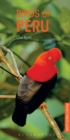 Birds of Peru - eBook