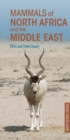 Mammals of North Africa and the Middle East - eBook
