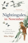 Nightingales in November : A Year in the Lives of Twelve British Birds - Book
