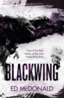 Blackwing : The Raven's Mark Book One - eBook