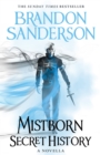 Mistborn: Secret History - Book