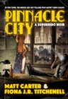 Pinnacle City - eBook