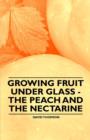 Growing Fruit under Glass - The Peach and the Nectarine - eBook