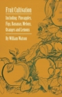 Fruit Cultivation - Including: Figs, Pineapples, Bananas, Melons, Oranges and Lemons - eBook