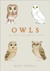 Owls : Our Most Enchanting Bird - eBook
