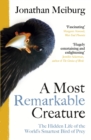 A Most Remarkable Creature : The Hidden Life and Epic Journey of the World s Smartest Bird of Prey - eBook