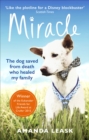 Miracle - eBook