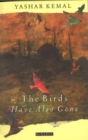 The Birds Have Also Gone - eBook