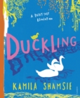 Duckling : A Fairy Tale Revolution - eBook