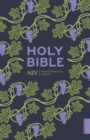 NIV Holy Bible (Hodder Classics) - Book