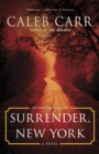 Surrender, New York - eBook