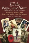 Till the Boys Come Home : The First World War through its Picture Postcards - eBook