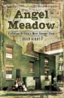 Angel Meadow : Victorian Britain's Most Savage Slum - eBook