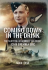 Coming Down in the Drink : The Survival of Bomber 'Goldfish', John Brennan DFC - eBook