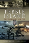Pebble Island : The Falklands War 1982 - eBook