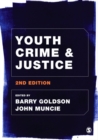 Youth Crime and Justice - eBook
