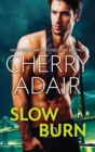 Slow Burn : Seducing Mr. Right / Take Me - eBook