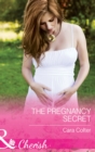 The Pregnancy Secret - eBook