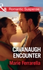 Cavanaugh Encounter (Mills & Boon Romantic Suspense) (Cavanaugh Justice, Book 36) - eBook