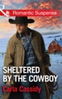 Sheltered By The Cowboy - eBook