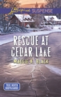 Rescue At Cedar Lake - eBook