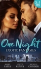 One Night: Exotic Fantasies: One Night in Paradise / Pirate Tycoon, Forbidden Baby / Prince Nadir's Secret Heir - eBook