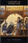 A History of Islamic Law - eBook