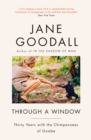 Through A Window - Book