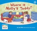 Where is Molly's Teddy? - eBook
