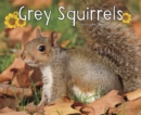 Grey Squirrels - eBook