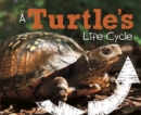 A Turtle's Life Cycle - eBook