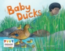 Baby Ducks - eBook