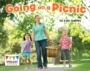 Going on a Picnic - eBook