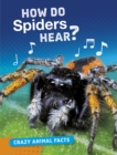 How Do Spiders Hear? - eBook
