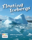 Floating Icebergs - eBook