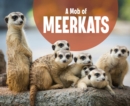 A Mob of Meerkats - Book