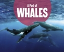 A Pod of Whales - Book