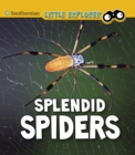 Splendid Spiders - Book