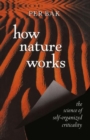 How Nature Works : the science of self-organized criticality - eBook