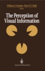 The Perception of Visual Information - eBook