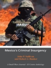 Mexico's Criminal Insurgency : A Small Wars Journal-El Centro Anthology - eBook