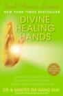 Divine Healing Hands : Experience Divine Power to Heal You, Animals, and Nature, and to Transform All Life - eBook