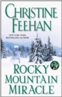 Rocky Mountain Miracle - eBook
