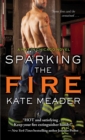 Sparking the Fire - eBook