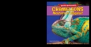 Chameleons: Masters of Disguise! - eBook